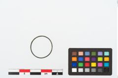 Foto von Bronzering (NHMW-PRAE-024621)